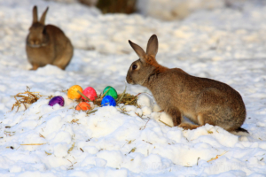 Ostern auf dem Schnee mit snow-coach.ch